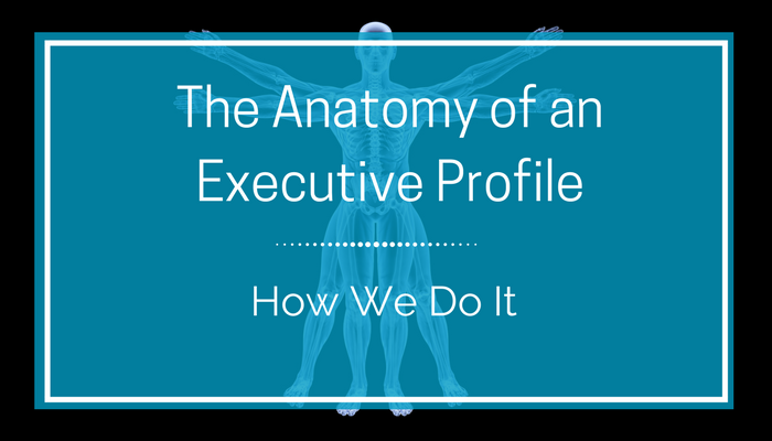 The Anatomy of an Executive Profile.png