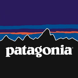 patagonia logo